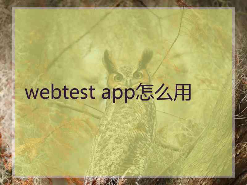webtest app怎么用