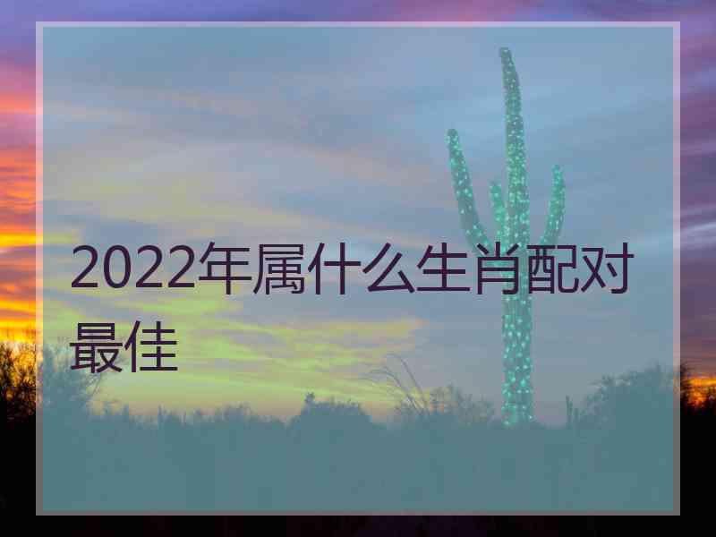 2022年属什么生肖配对最佳