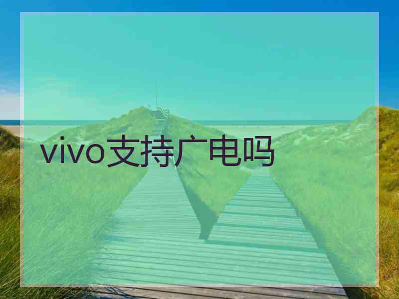 vivo支持广电吗