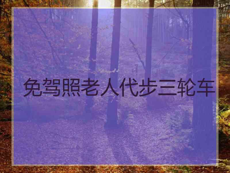 免驾照老人代步三轮车