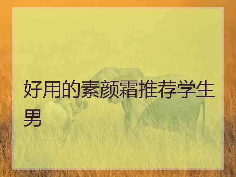 好用的素颜霜推荐学生男