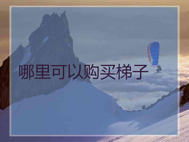 哪里可以购买梯子