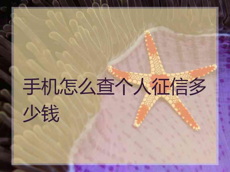 手机怎么查个人征信多少钱