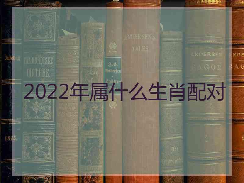 2022年属什么生肖配对