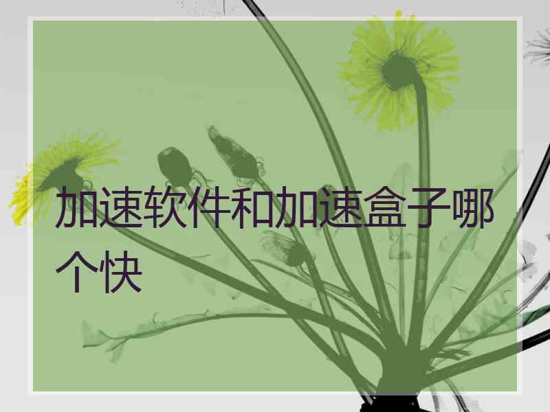 加速软件和加速盒子哪个快