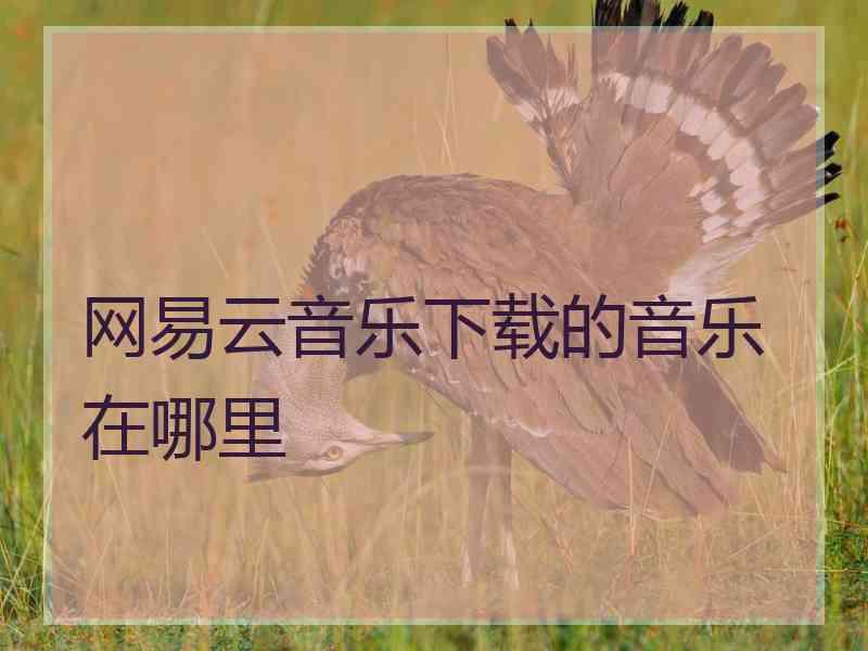 网易云音乐下载的音乐在哪里