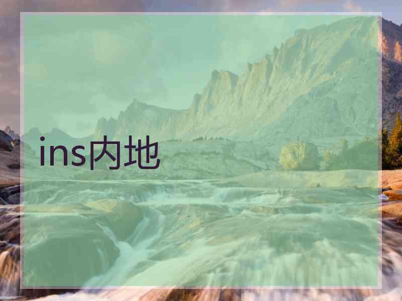 ins内地
