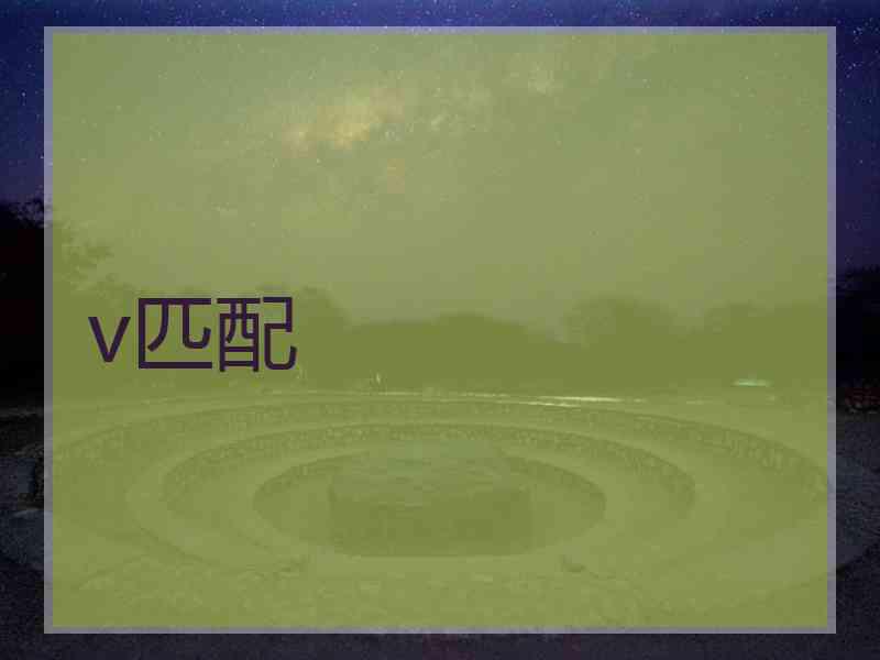 v匹配