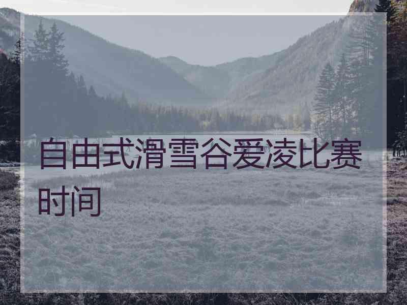 自由式滑雪谷爱凌比赛时间