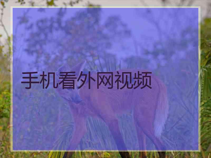 手机看外网视频