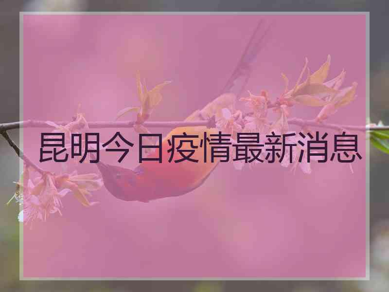 昆明今日疫情最新消息