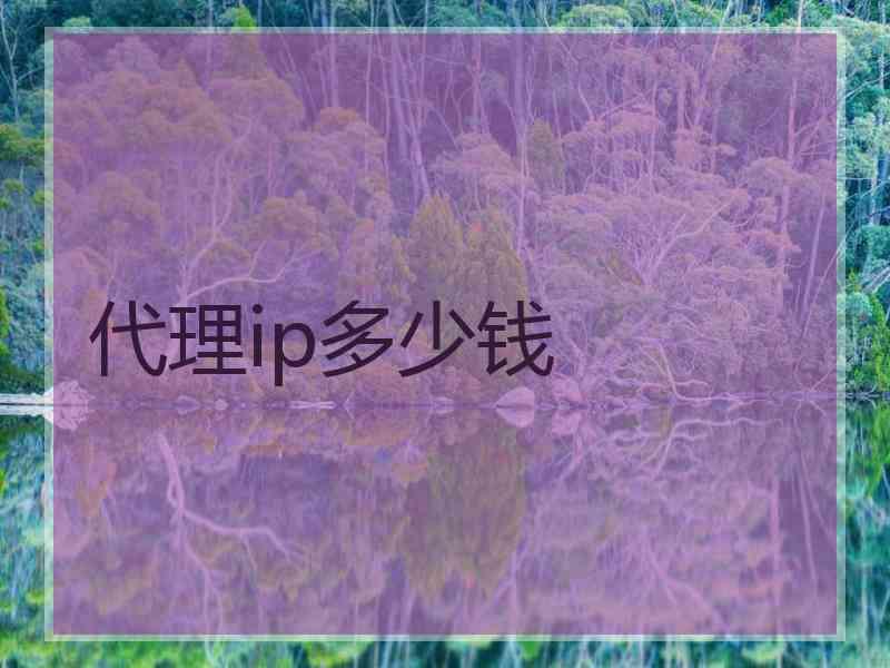 代理ip多少钱