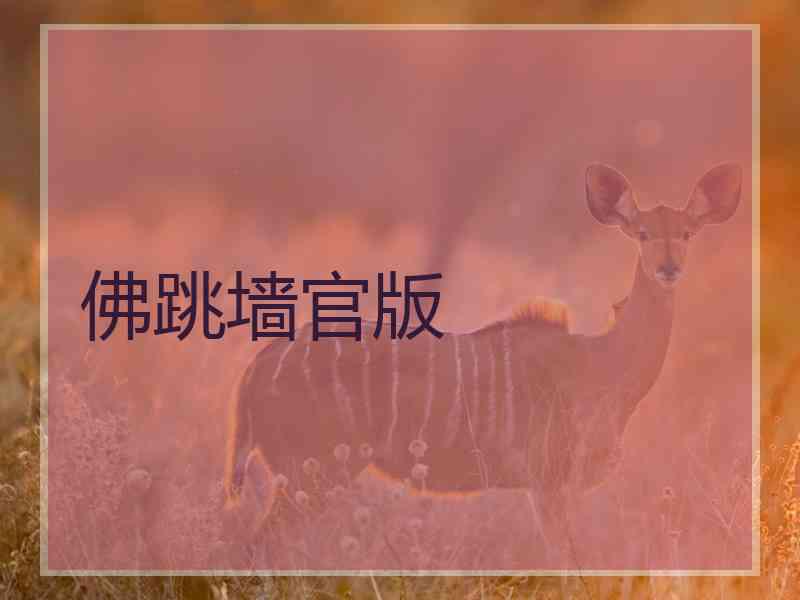 佛跳墙官版