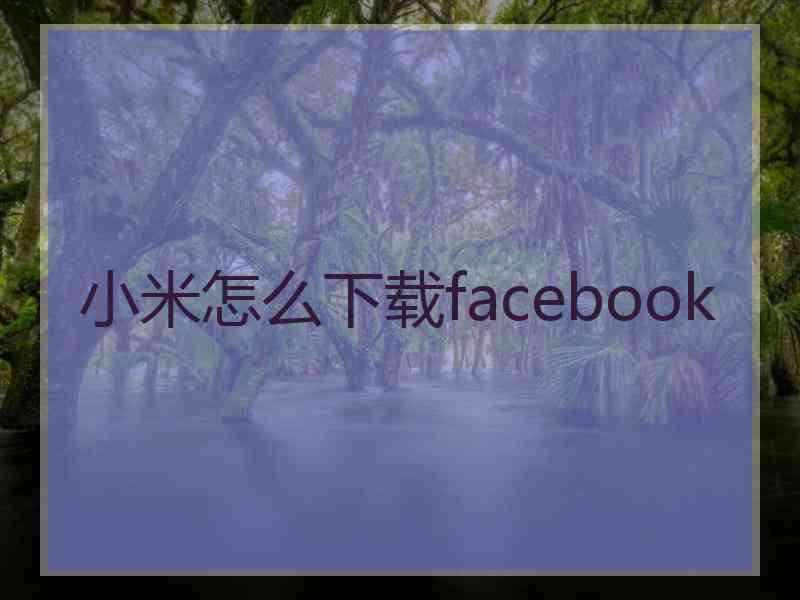 小米怎么下载facebook