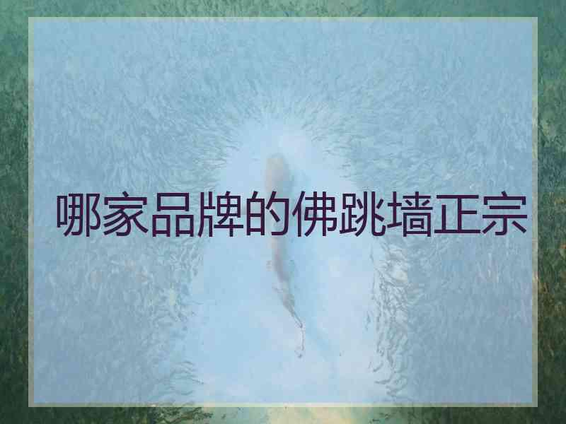 哪家品牌的佛跳墙正宗