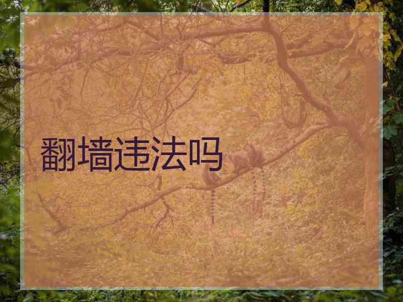 翻墙违法吗