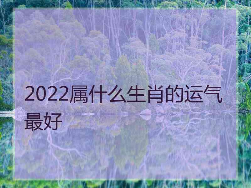 2022属什么生肖的运气最好