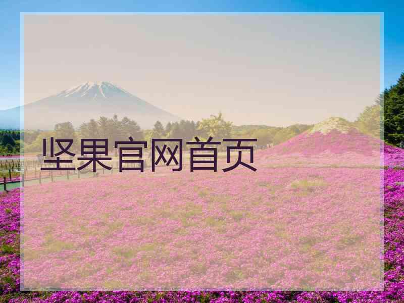 坚果官网首页