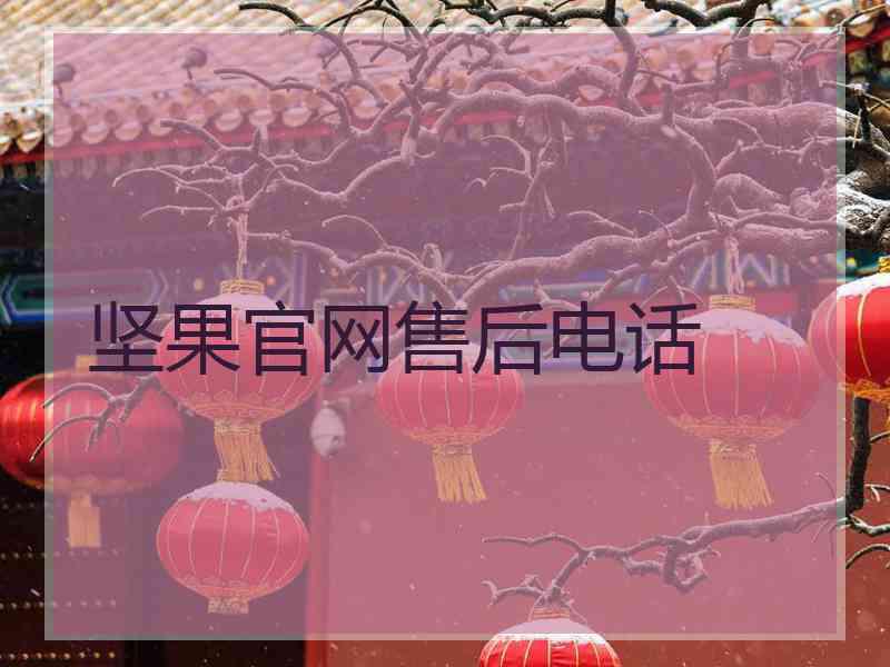 坚果官网售后电话
