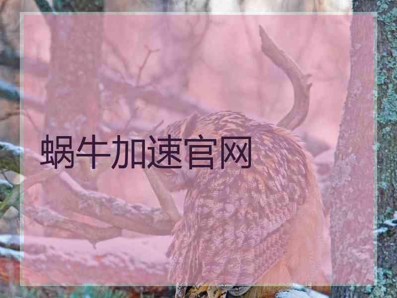 蜗牛加速官网