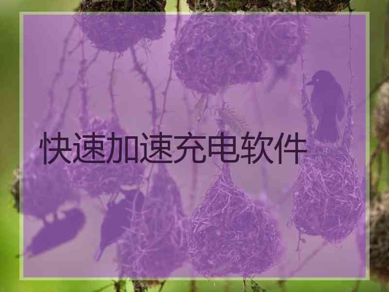 快速加速充电软件