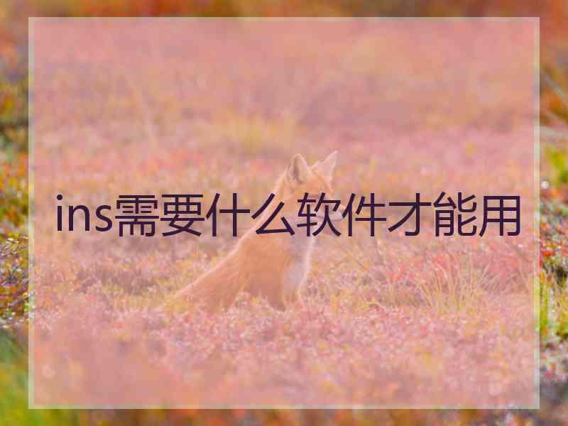 ins需要什么软件才能用