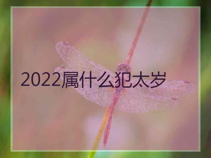 2022属什么犯太岁