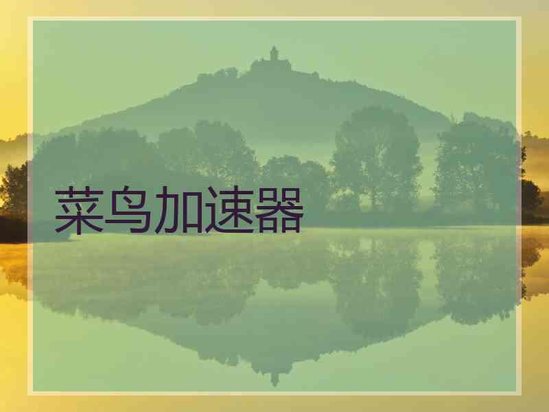 菜鸟加速器
