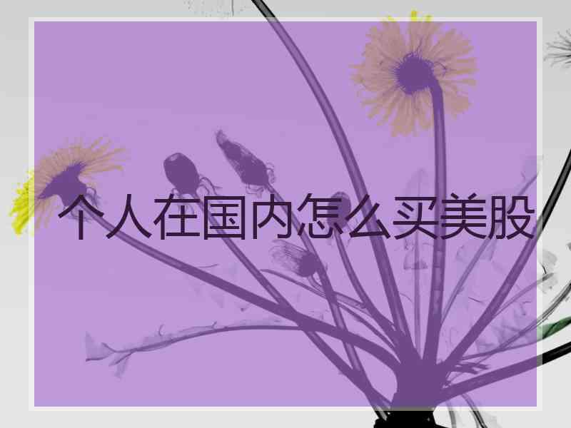 个人在国内怎么买美股