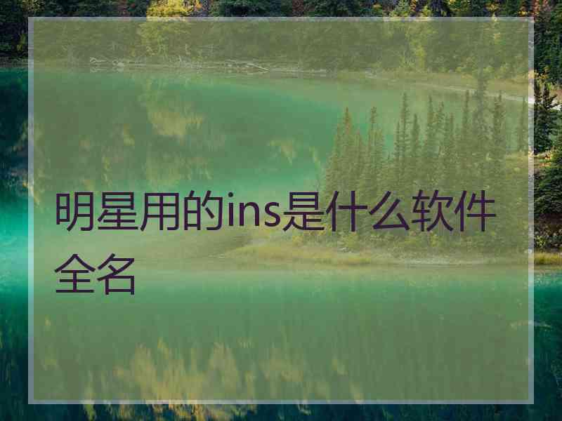 明星用的ins是什么软件全名