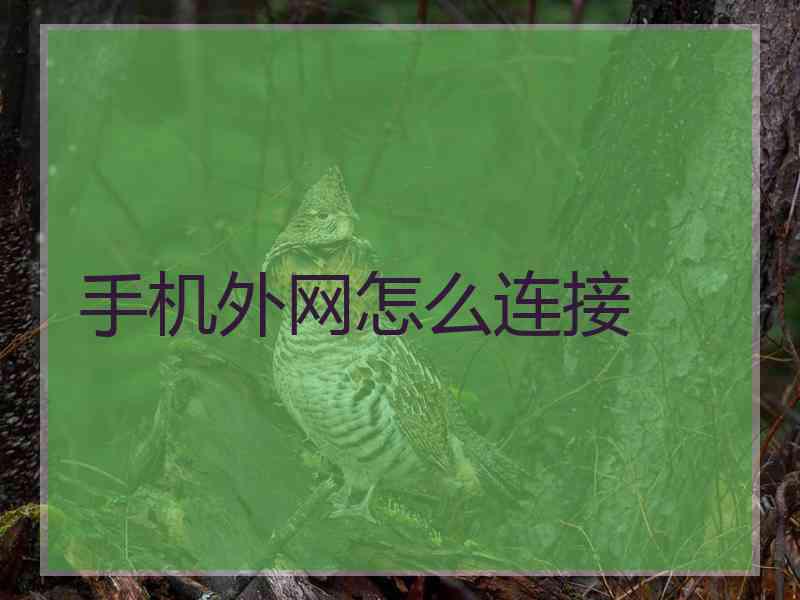 手机外网怎么连接