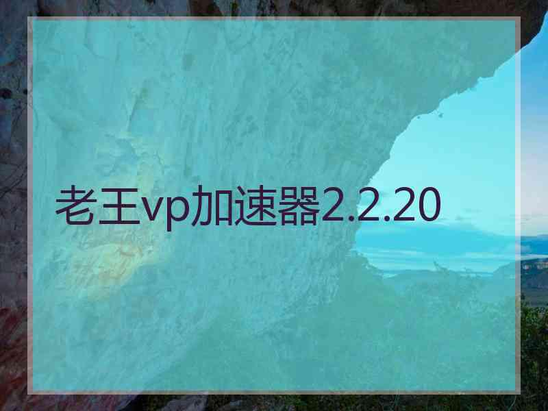 老王vp加速器2.2.20