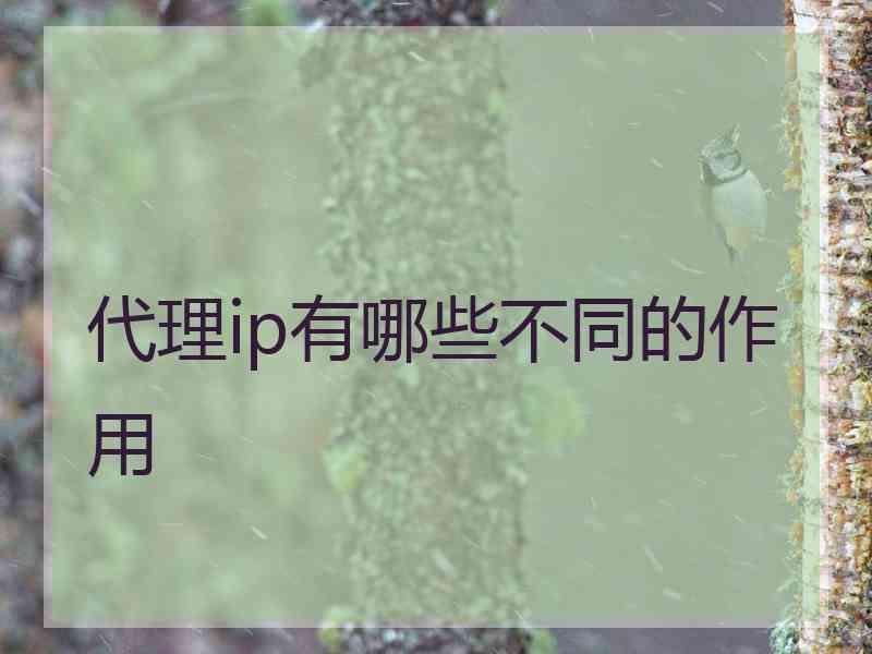代理ip有哪些不同的作用