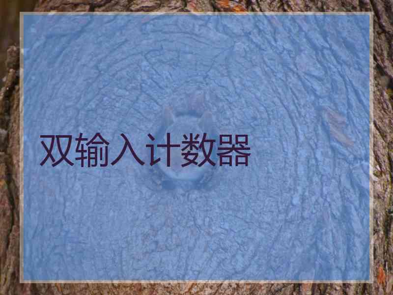 双输入计数器