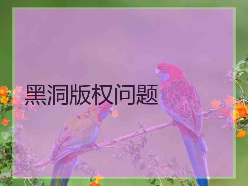 黑洞版权问题