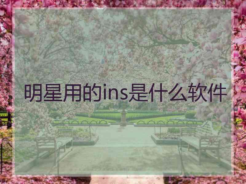 明星用的ins是什么软件