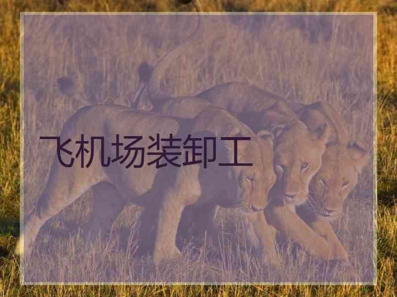 飞机场装卸工