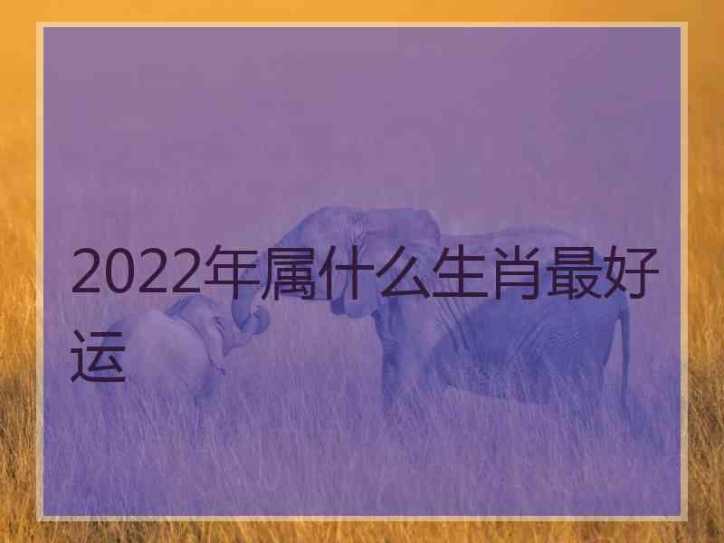 2022年属什么生肖最好运