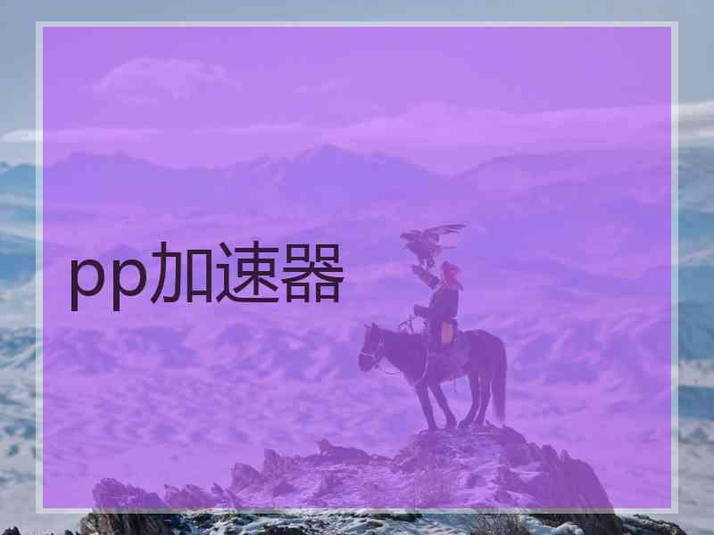 pp加速器