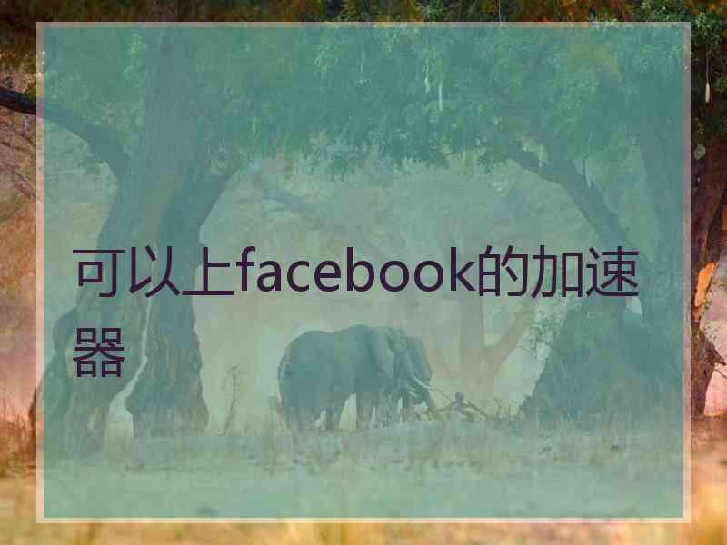 可以上facebook的加速器